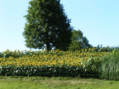 c0112172_1838444.jpg
