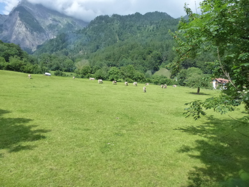 b0224178_23153757.jpg