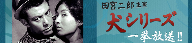 『鉄砲犬』(1965年 大映)_b0267578_15134496.jpg