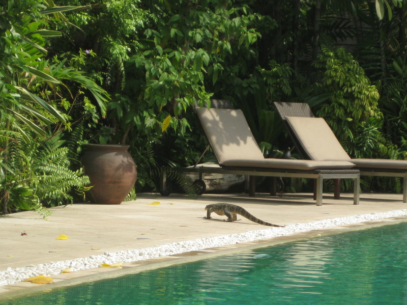 c0013687_23392073.jpg