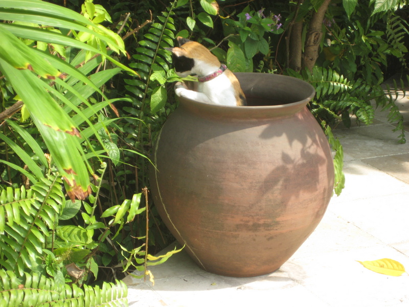 c0013687_2348171.jpg