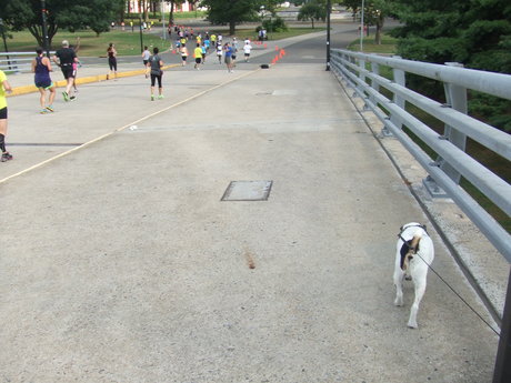 c0253487_0182528.jpg