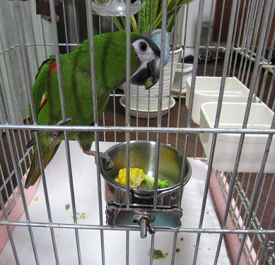 f0234590_8541266.png