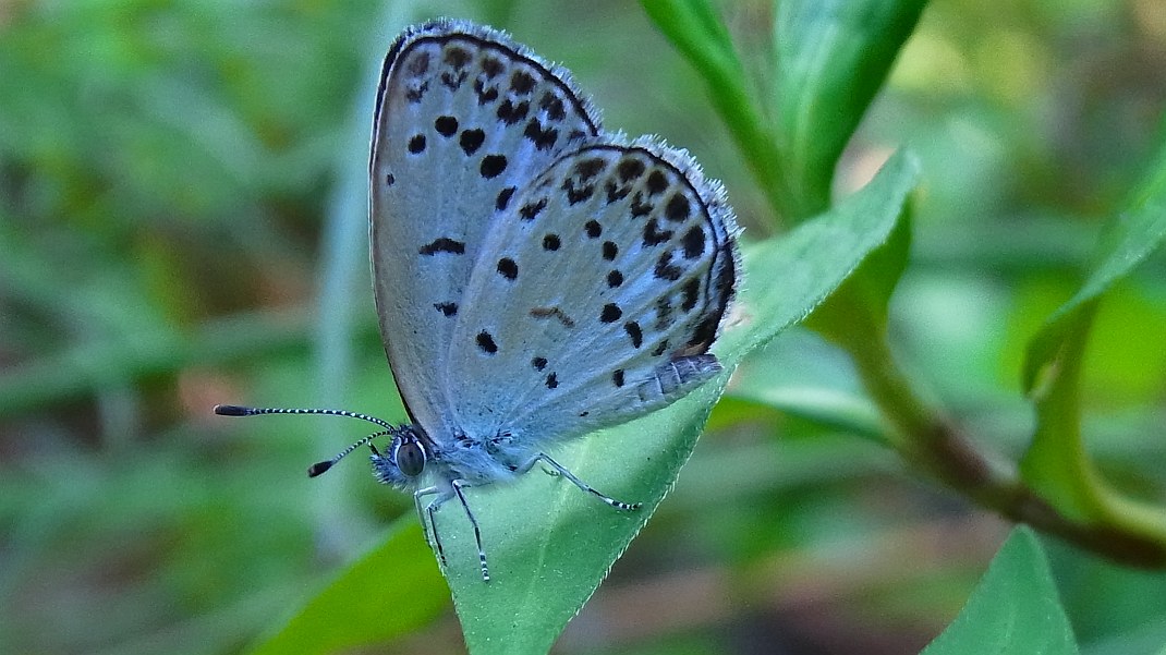 a0152692_18535074.jpg