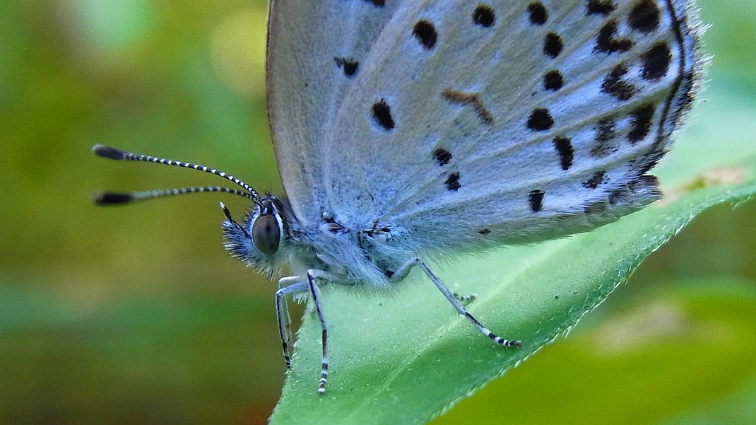 a0152692_18541287.jpg