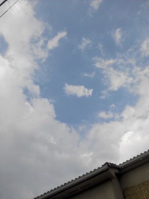 夏特有の大雨。。　練馬区高松にて。_c0223192_18312356.jpg
