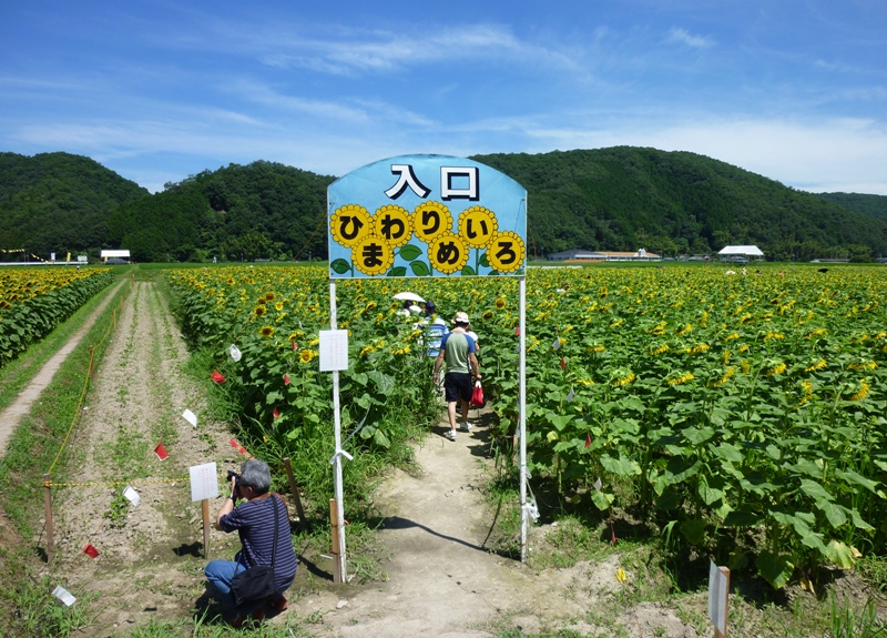 花見日和（2013.07.20）…!!　前編_b0154394_2229813.jpg