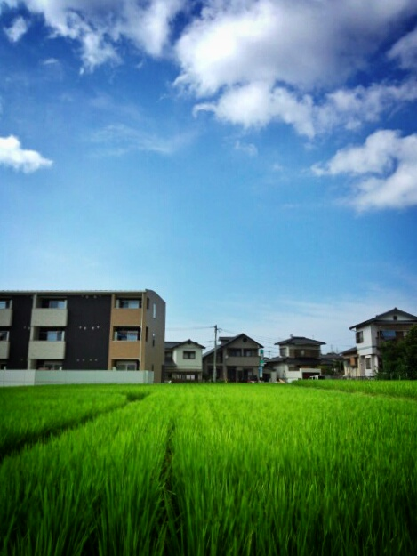d0246595_2244522.png