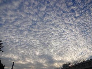 f0030500_235990.jpg