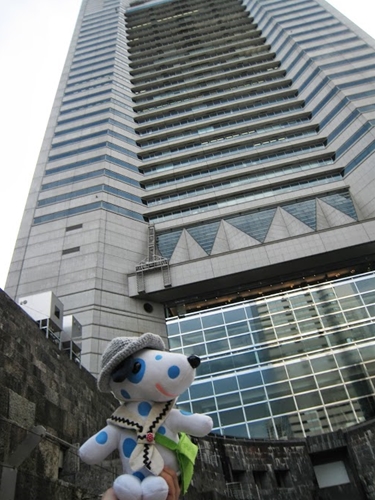 f0256400_8573018.jpg