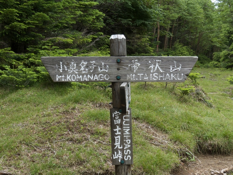 日光アルプス登山　（完）_e0257101_1925177.jpg