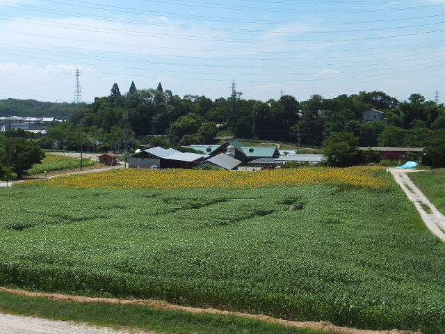 a0271502_16395447.jpg