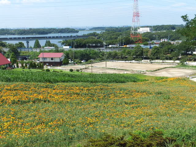 a0271502_1640481.jpg