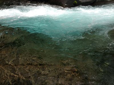 e0154202_20141853.jpg