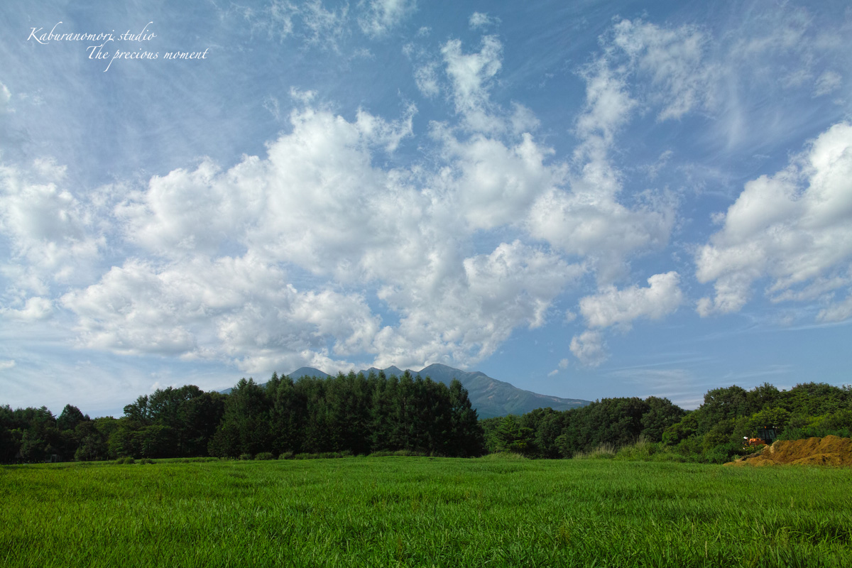 Merrillで撮り始めると_c0137403_1501820.jpg