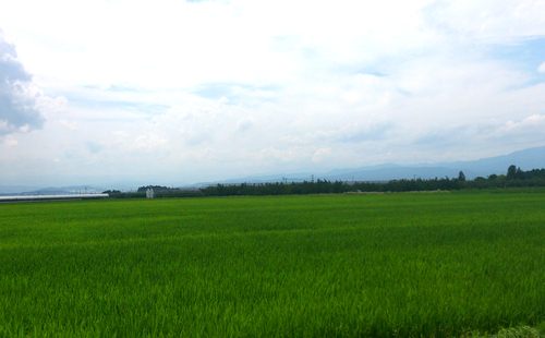b0232804_171188.jpg