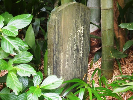 e0245404_17313777.jpg