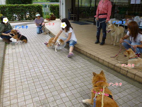 a0285205_1029582.png