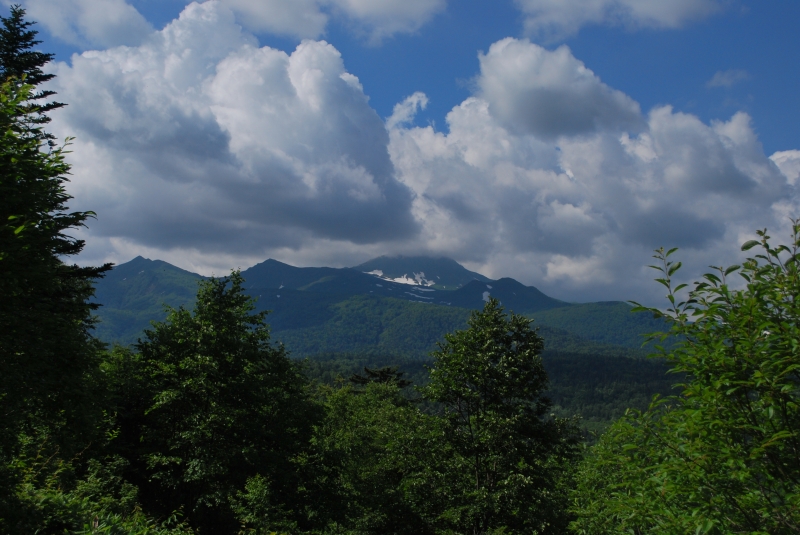 d0051707_21164629.jpg
