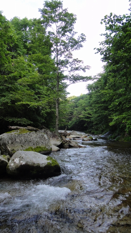 d0051707_217041.jpg