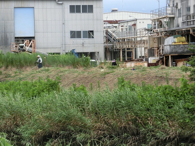 9月の彼岸花ウォークを目標にした「田宿川・滝川・沼川の草刈り」_f0141310_7261054.jpg