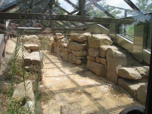 d0287413_21181643.jpg