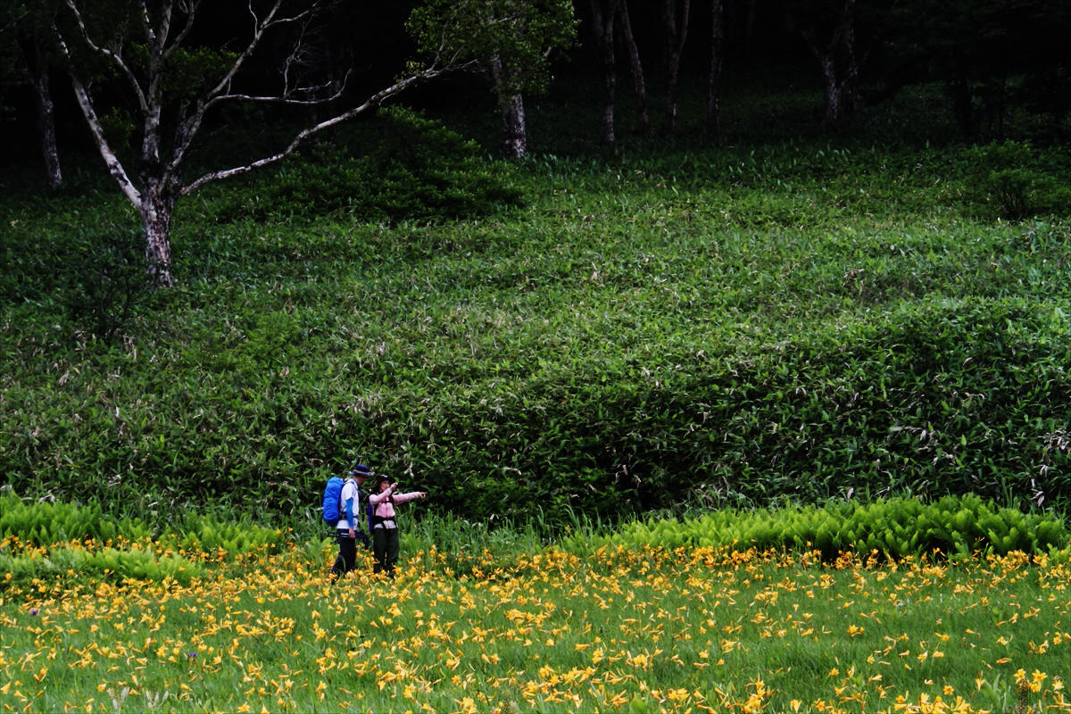 尾瀬国立公園　「沼山峠～尾瀬沼周辺トレッキング」_d0106628_18155571.jpg