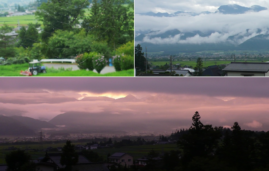 クモの糸と薔薇色の夕暮れ_a0212730_22584936.jpg