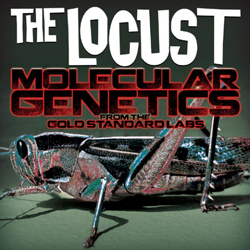 \"LOCUST\"がドーーーン!!_f0004730_15475874.jpg