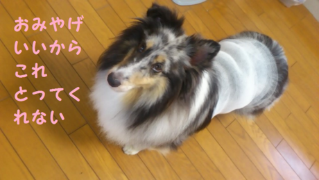 d0252434_17255218.png