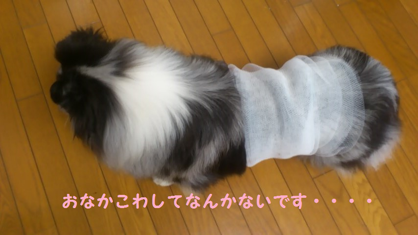 d0252434_17365914.png