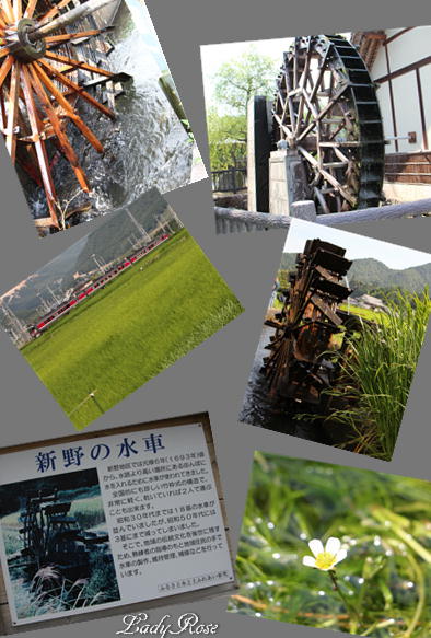 f0292335_15142730.jpg