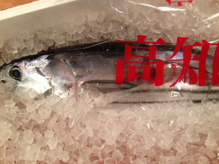 2013年7月は高知県・幡多地区で盛り上がりました!_b0185641_1242178.jpg