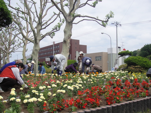 公共花壇に夏の花苗を植えました。_e0145841_10174042.jpg