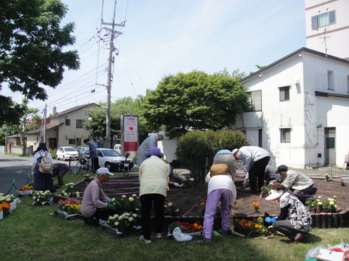 公共花壇に夏の花苗を植えました。_e0145841_10274640.jpg