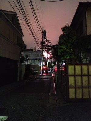 c0182843_2350390.jpg