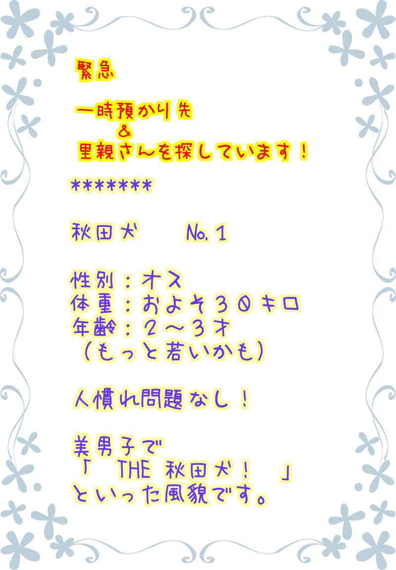 c0264744_1327527.png