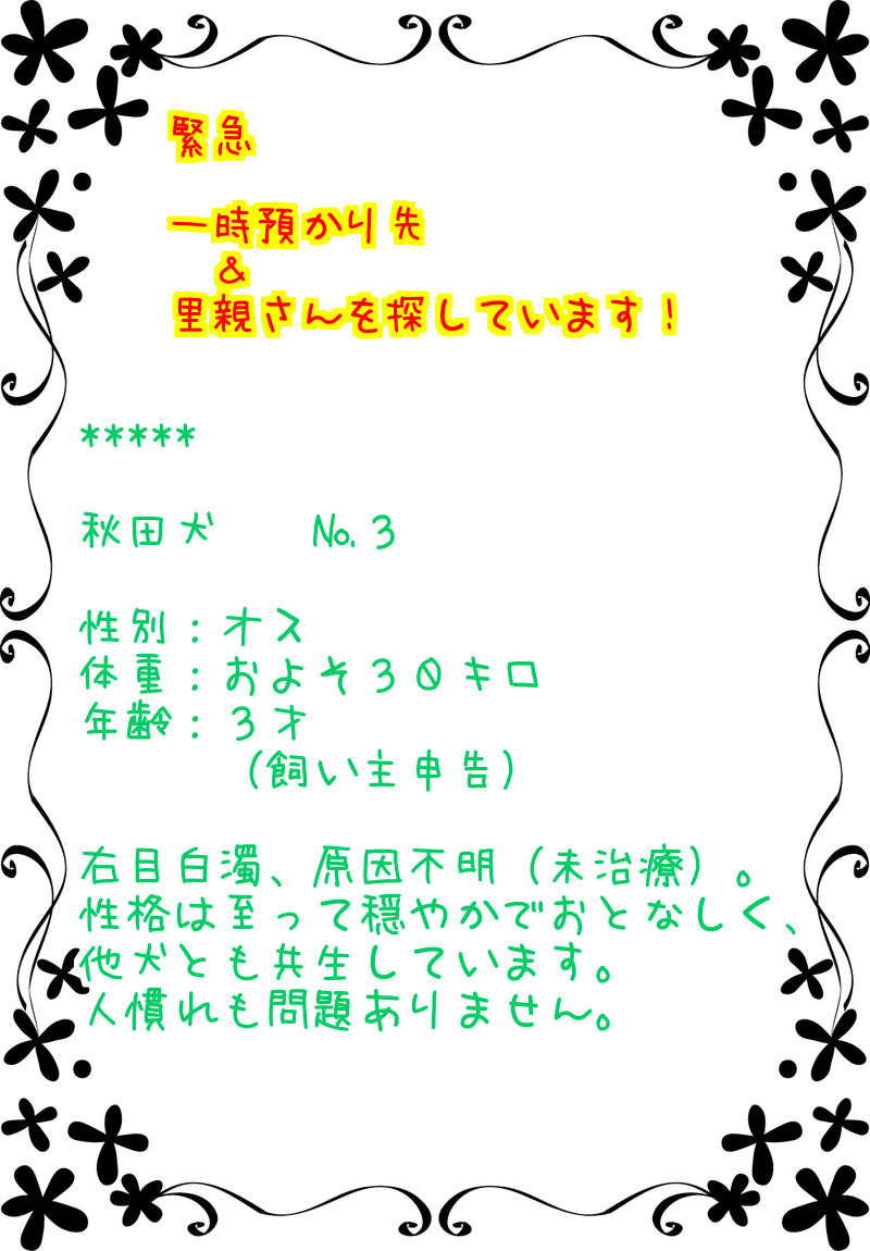c0264744_13335163.png