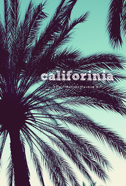 back to CA 2013 - in-n-out - _d0124248_2023517.jpg