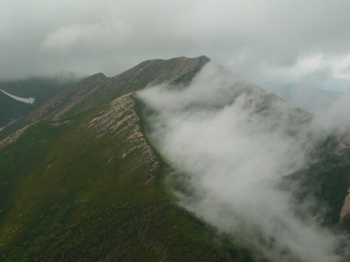 e0173855_937556.jpg