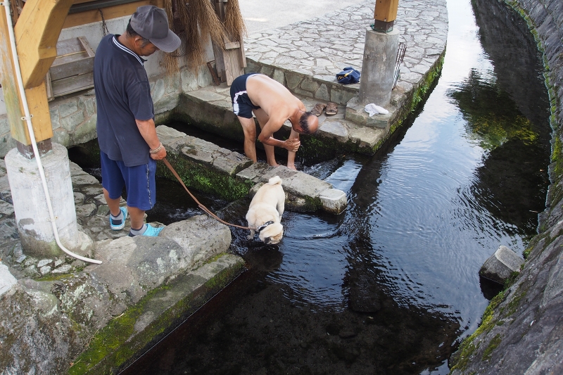 寺坂水源の水は冷たかったぁ～_b0123359_2112521.jpg