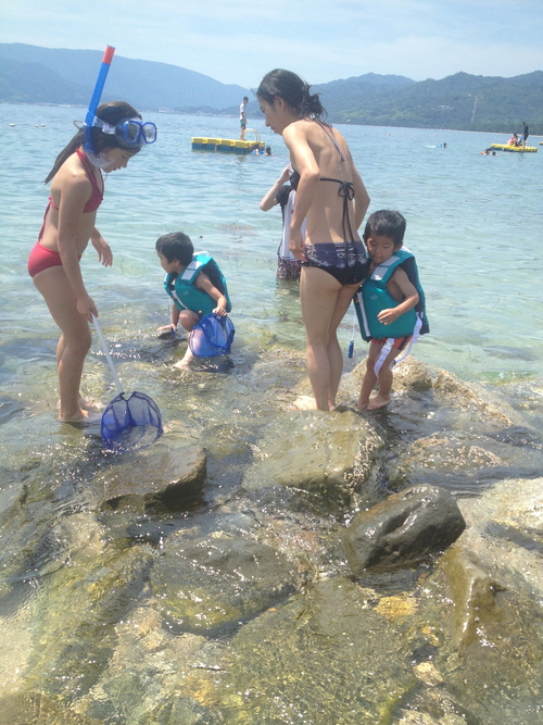 夏_d0185565_2355213.jpg