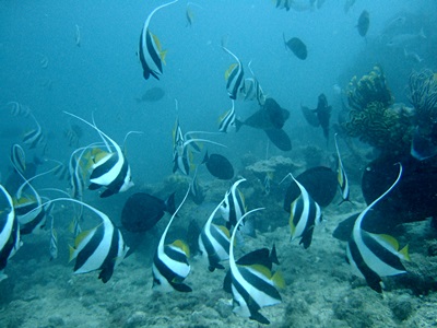 b0033573_175112.jpg