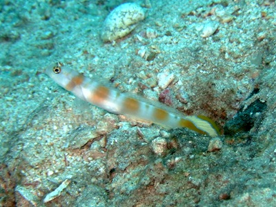 b0033573_17512399.jpg