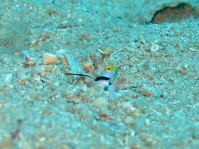 b0033573_17514353.jpg