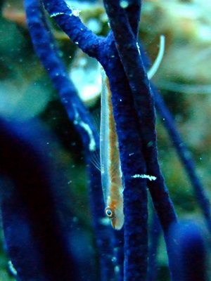 b0033573_17515192.jpg