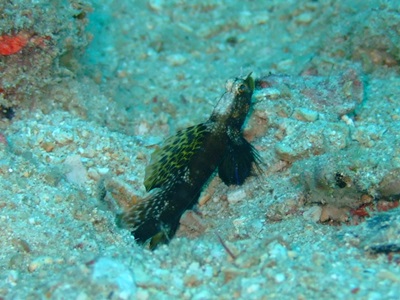 b0033573_1751954.jpg