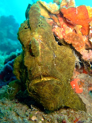 b0033573_175273.jpg