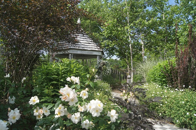 北海道　花の旅　１０　～えこりん村～_e0181373_21393049.jpg