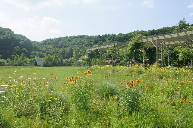 北海道　花の旅　１０　～えこりん村～_e0181373_21561275.jpg